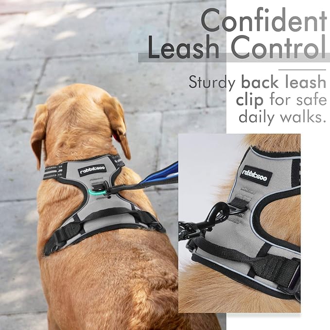 rabbitgoo Dog Harness, No-Pull Pet Harness with 2 Leash Clips, Adjustable Soft Padded Dog Vest, Reflective No-Choke Pet Oxford Vest with Easy Control Handle for Large Dogs, Black, L