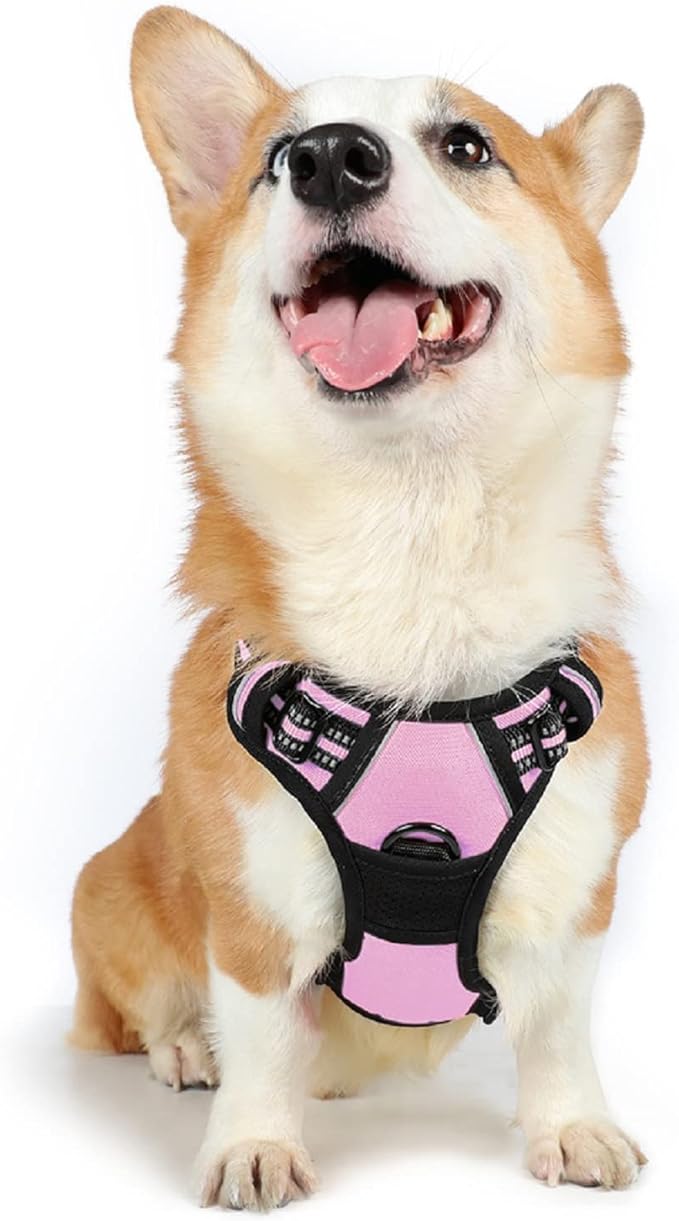 rabbitgoo Dog Harness, No-Pull Pet Harness with 2 Leash Clips, Adjustable Soft Padded Dog Vest, Reflective No-Choke Pet Oxford Vest with Easy Control Handle for Large Dogs, Black, L