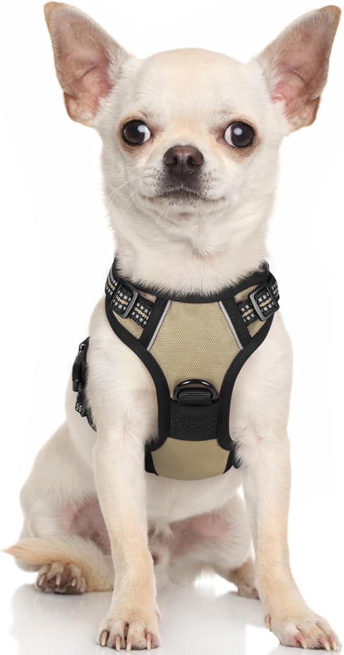 rabbitgoo Dog Harness, No-Pull Pet Harness with 2 Leash Clips, Adjustable Soft Padded Dog Vest, Reflective No-Choke Pet Oxford Vest with Easy Control Handle for Large Dogs, Black, L