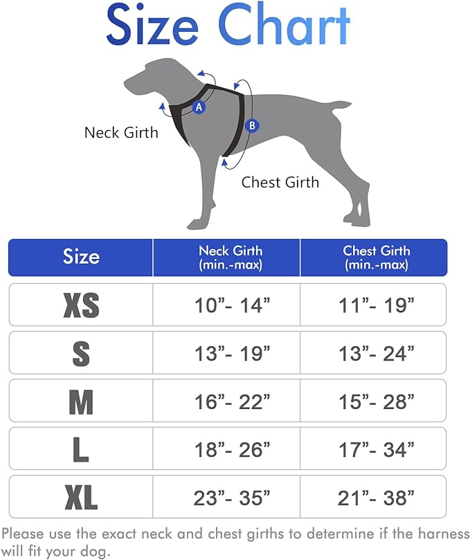 rabbitgoo Dog Harness, No-Pull Pet Harness with 2 Leash Clips, Adjustable Soft Padded Dog Vest, Reflective No-Choke Pet Oxford Vest with Easy Control Handle for Large Dogs, Black, L