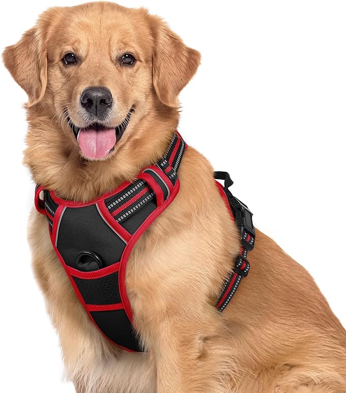 rabbitgoo Dog Harness, No-Pull Pet Harness with 2 Leash Clips, Adjustable Soft Padded Dog Vest, Reflective No-Choke Pet Oxford Vest with Easy Control Handle for Large Dogs, Black, L
