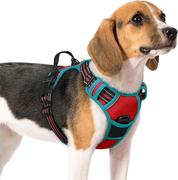 rabbitgoo Dog Harness, No-Pull Pet Harness with 2 Leash Clips, Adjustable Soft Padded Dog Vest, Reflective No-Choke Pet Oxford Vest with Easy Control Handle for Large Dogs, Black, L
