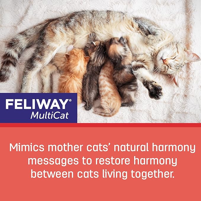FELIWAY MultiCat Calming Pheromone, 30 Day Refill - 3 Count (Pack of 1)